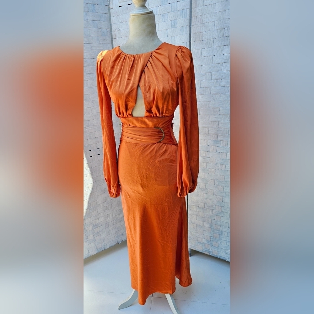PETAL AND PUP MIDI DRESS - Picture 9 of 12